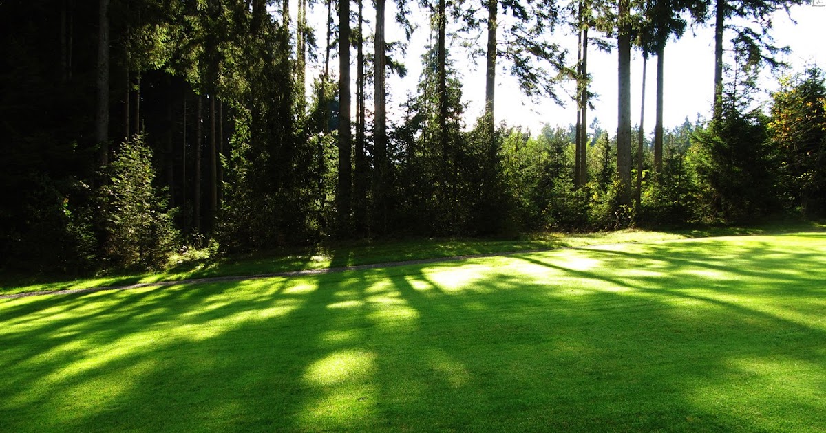 Green Earth: Beautiful-Green-HD-Wallpapers-in-1366x768